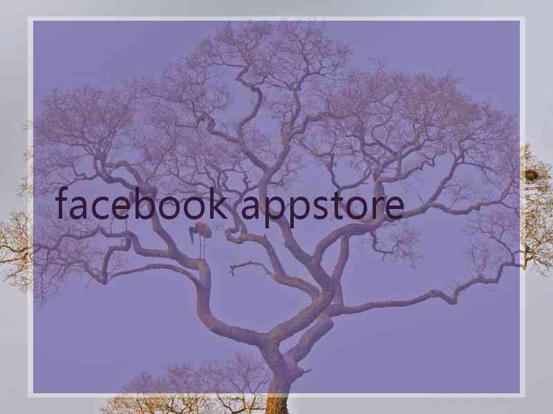 facebook appstore