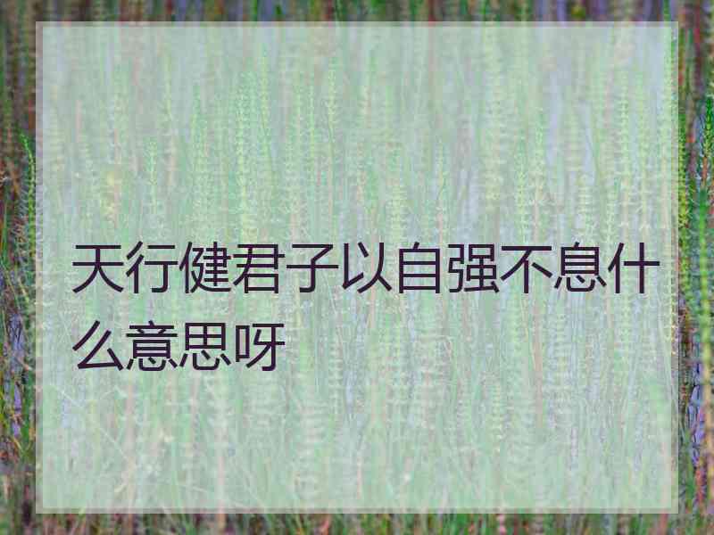 天行健君子以自强不息什么意思呀