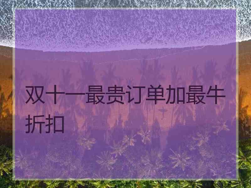 双十一最贵订单加最牛折扣