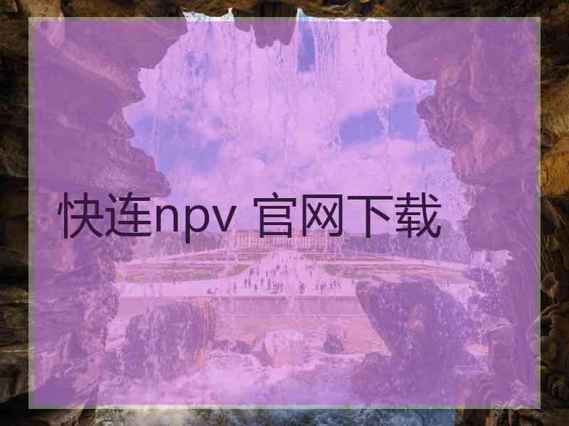 快连npv 官网下载