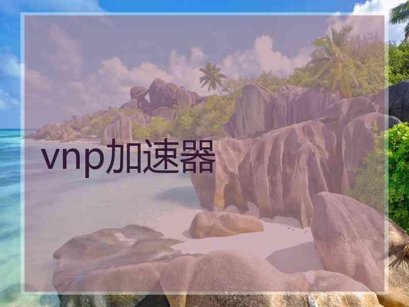 vnp加速器