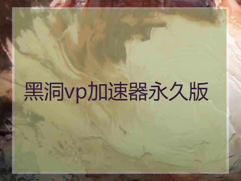 黑洞vp加速器永久版