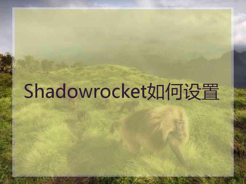 Shadowrocket如何设置