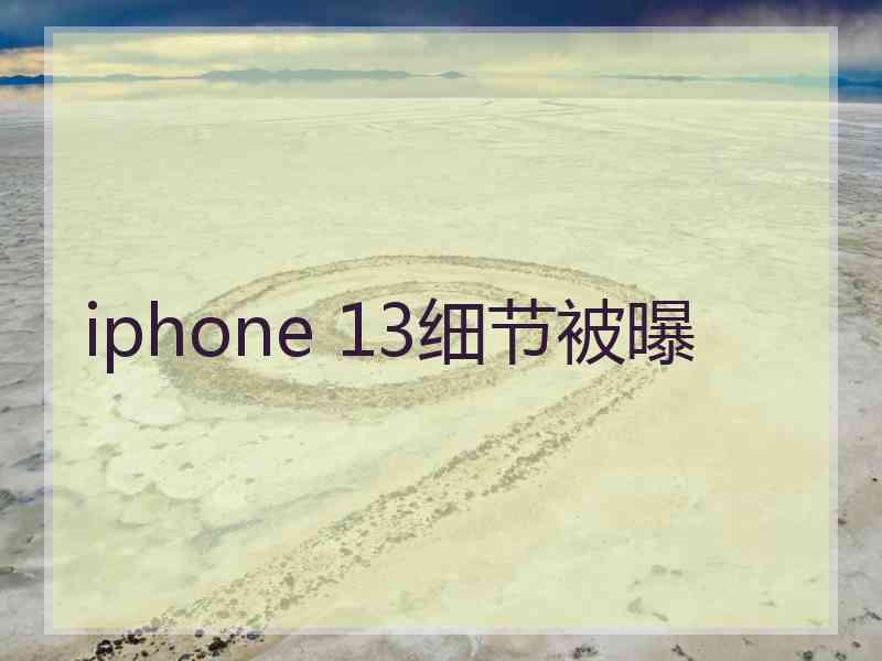 iphone 13细节被曝