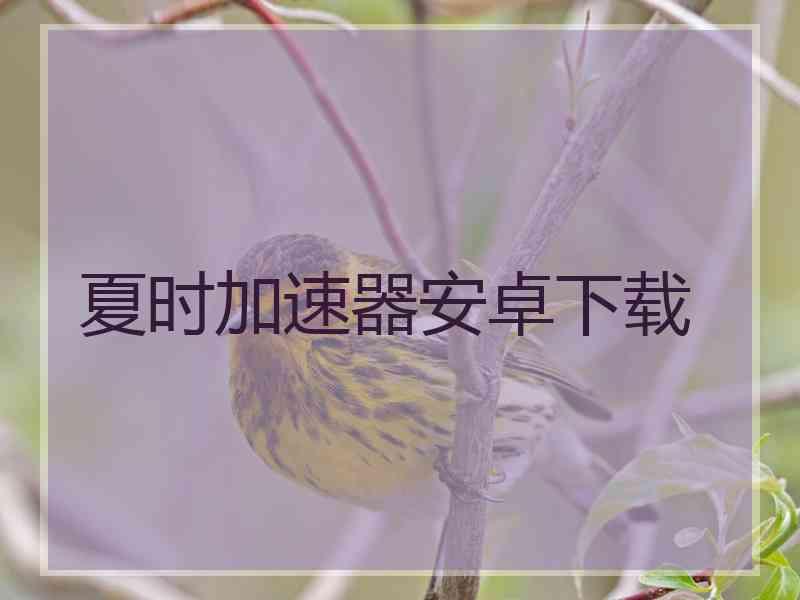 夏时加速器安卓下载