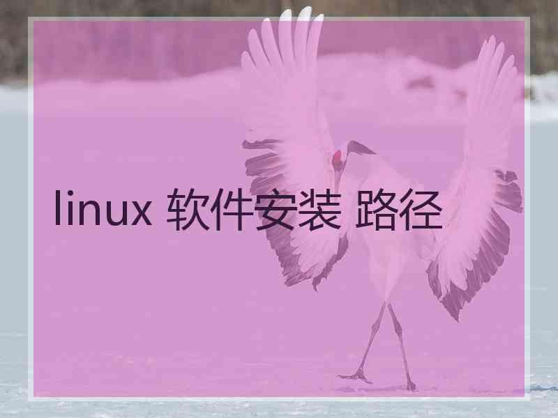 linux 软件安装 路径