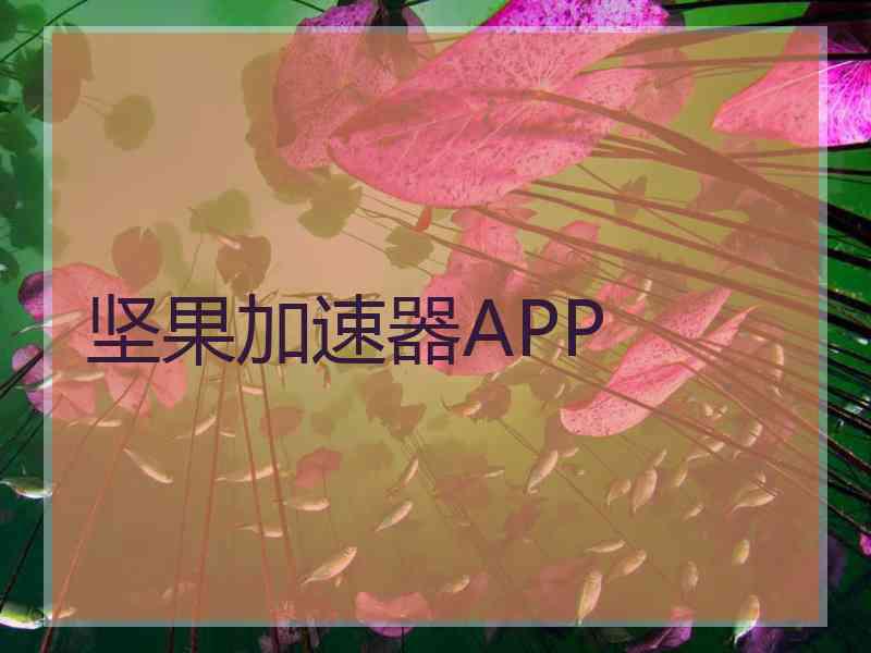 坚果加速器APP