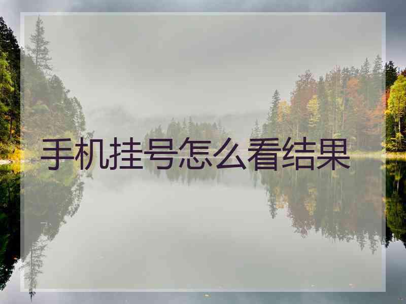 手机挂号怎么看结果