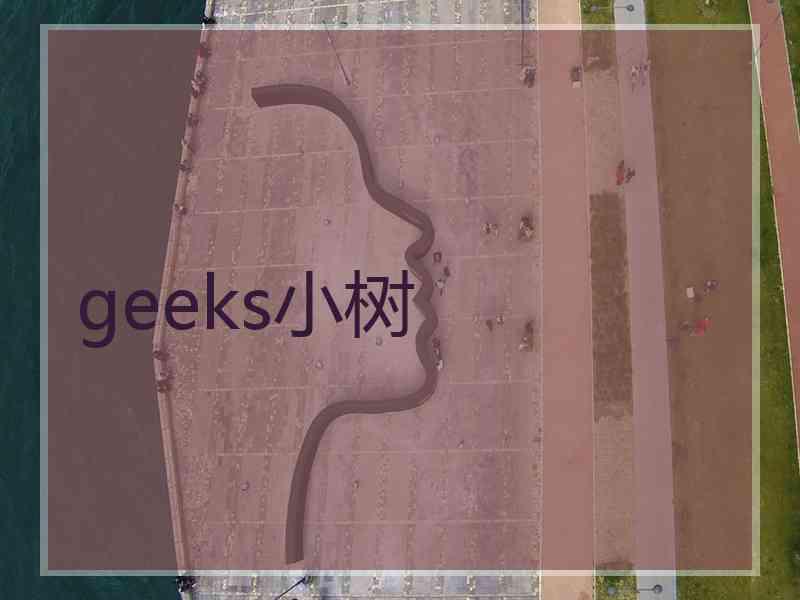 geeks小树