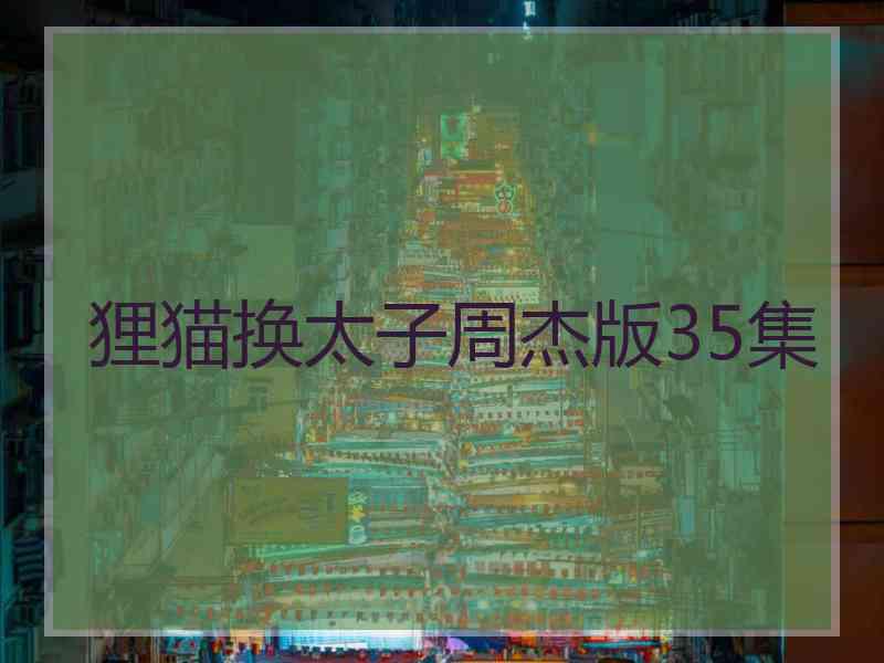 狸猫换太子周杰版35集