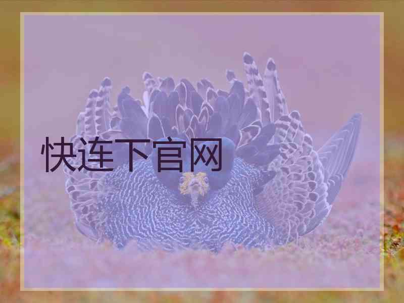 快连下官网