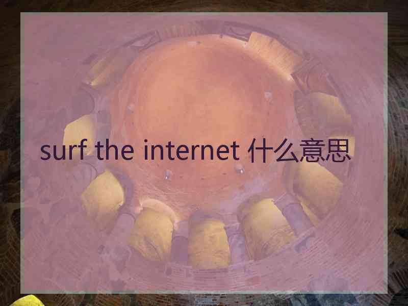 surf the internet 什么意思