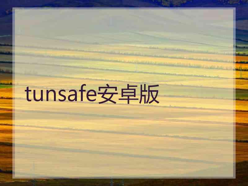 tunsafe安卓版