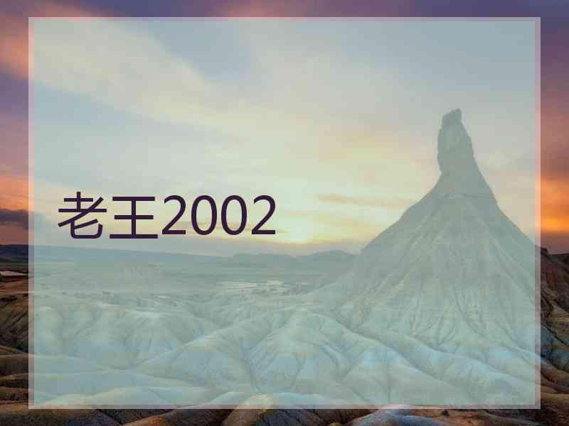 老王2002