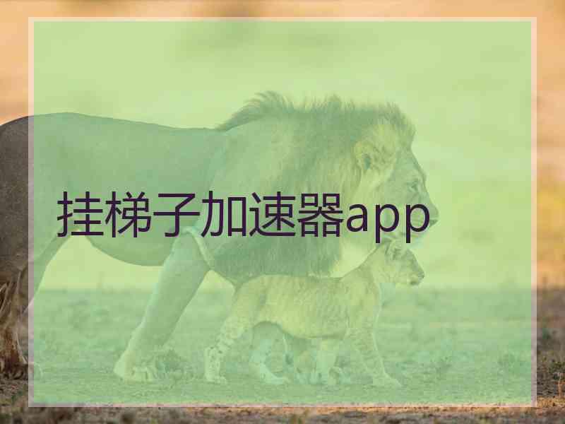 挂梯子加速器app