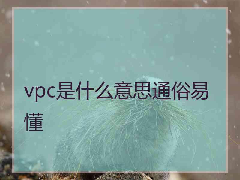 vpc是什么意思通俗易懂