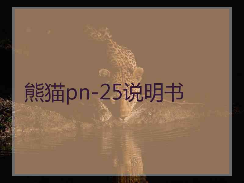 熊猫pn-25说明书