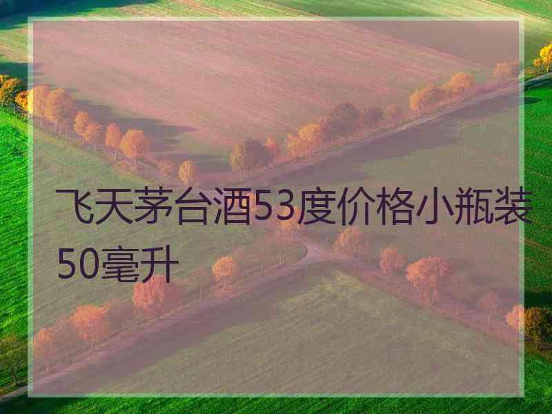 飞天茅台酒53度价格小瓶装50毫升