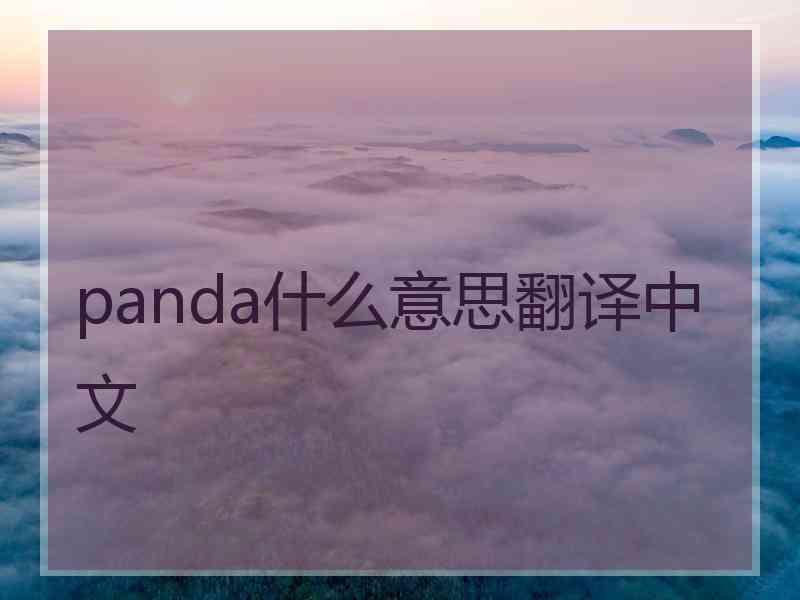 panda什么意思翻译中文