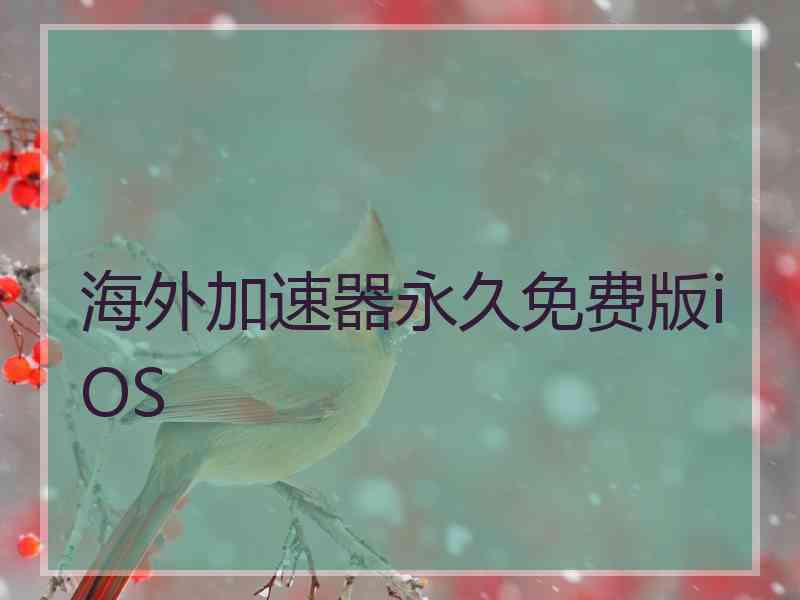 海外加速器永久免费版iOS