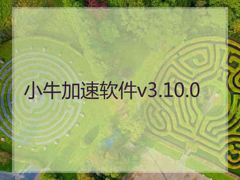 小牛加速软件v3.10.0