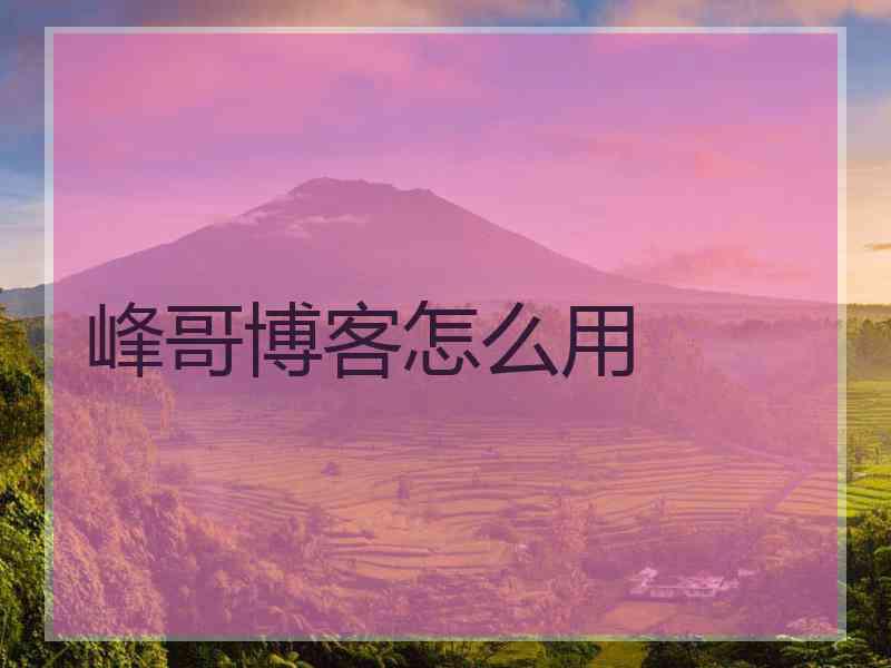 峰哥博客怎么用