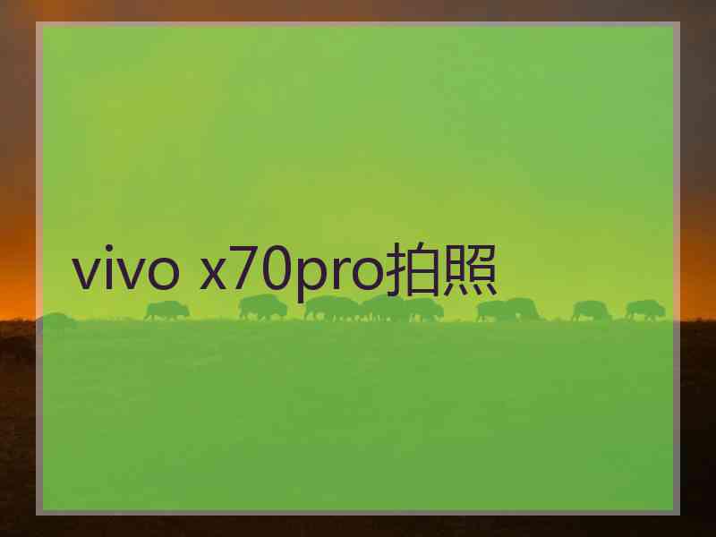 vivo x70pro拍照