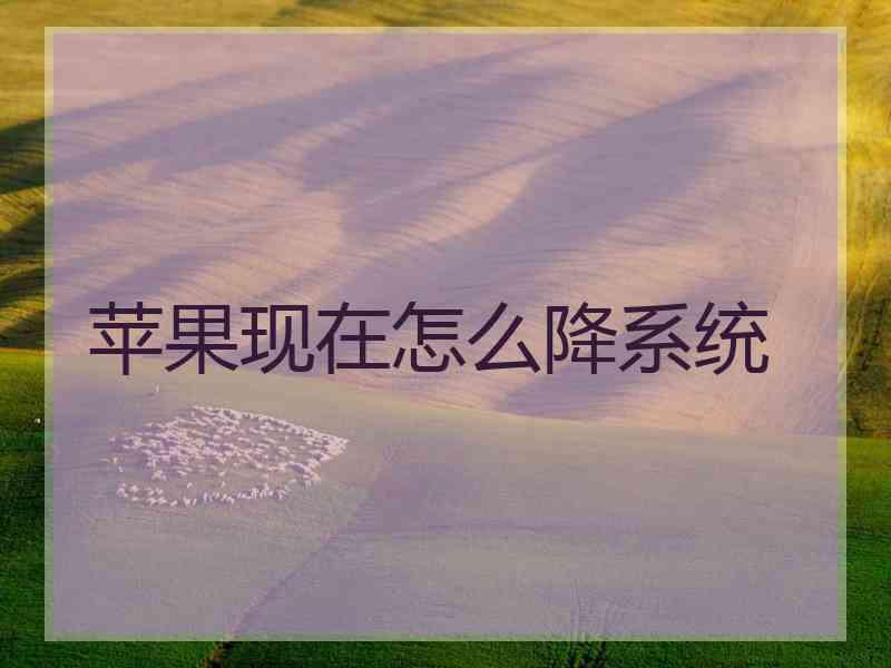 苹果现在怎么降系统