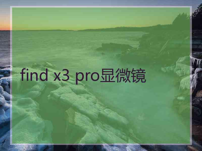 find x3 pro显微镜