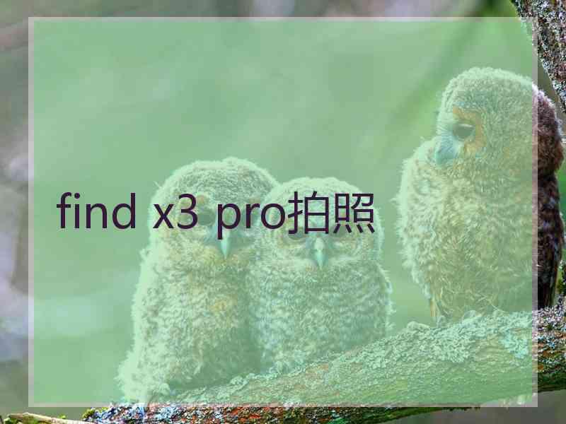 find x3 pro拍照