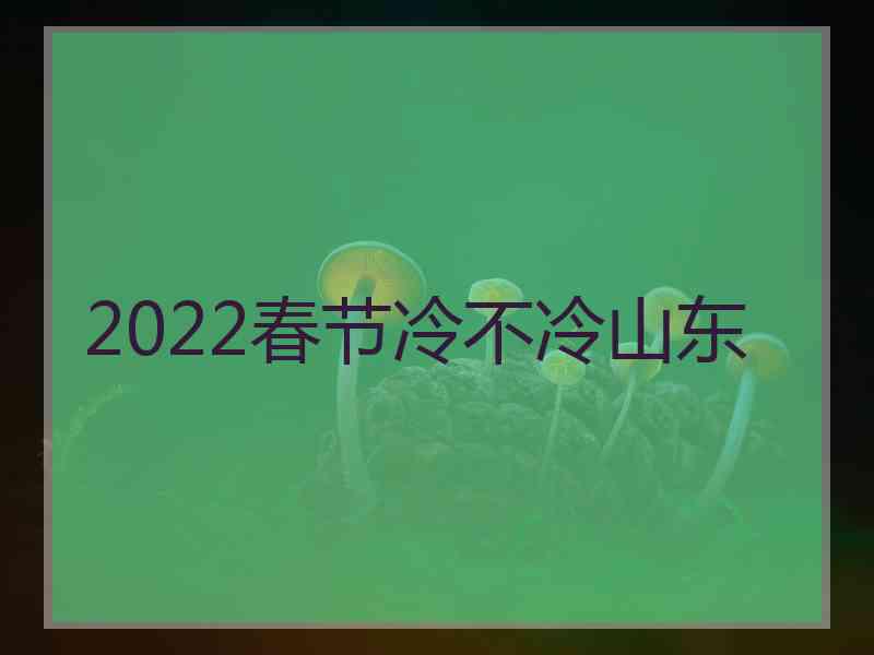 2022春节冷不冷山东