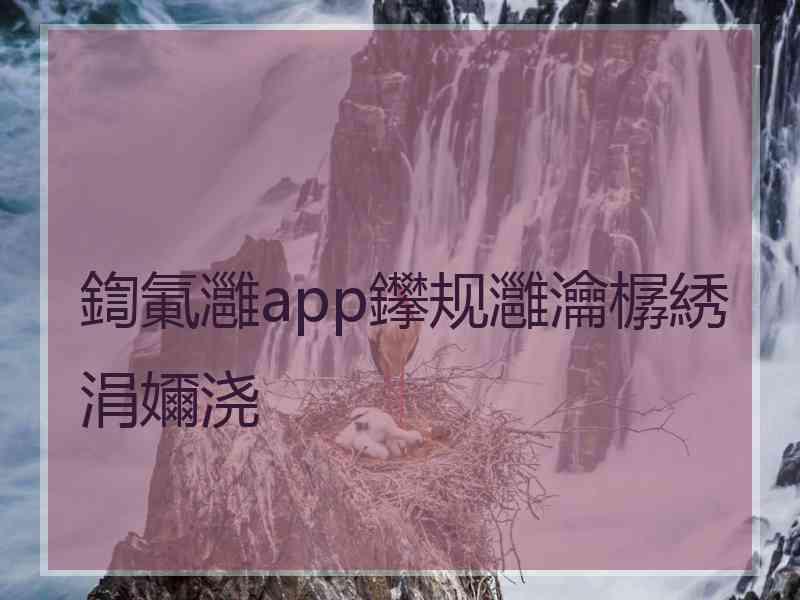 鍧氭灉app鑻规灉瀹樼綉涓嬭浇