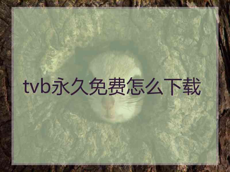 tvb永久免费怎么下载