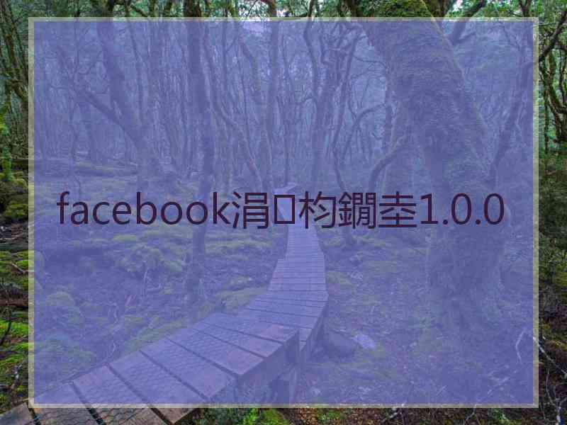 facebook涓枃鐗坴1.0.0