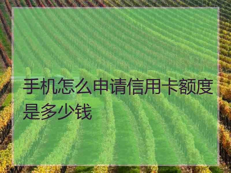 手机怎么申请信用卡额度是多少钱