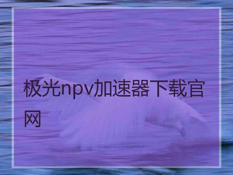 极光npv加速器下载官网