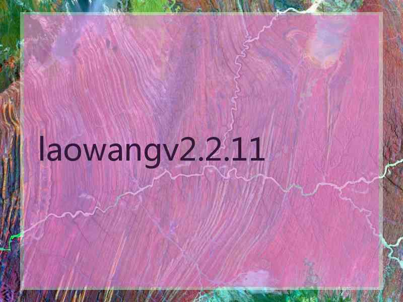 laowangv2.2.11