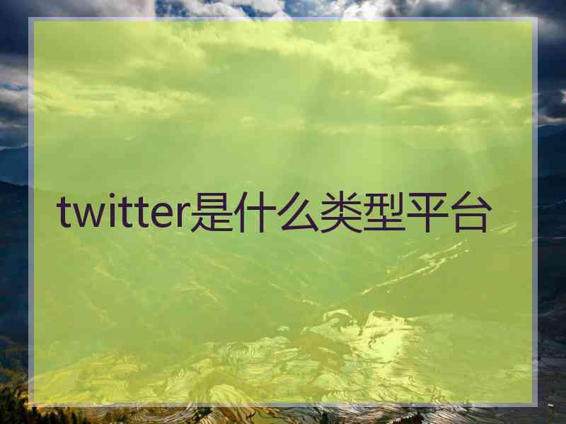 twitter是什么类型平台