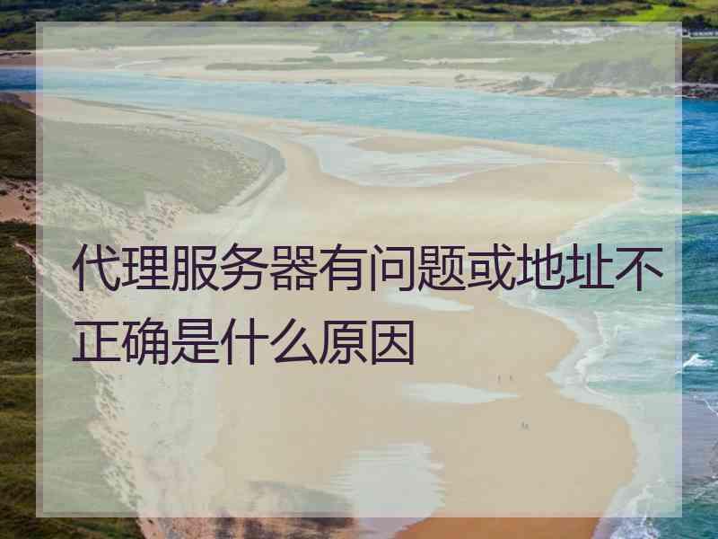 代理服务器有问题或地址不正确是什么原因