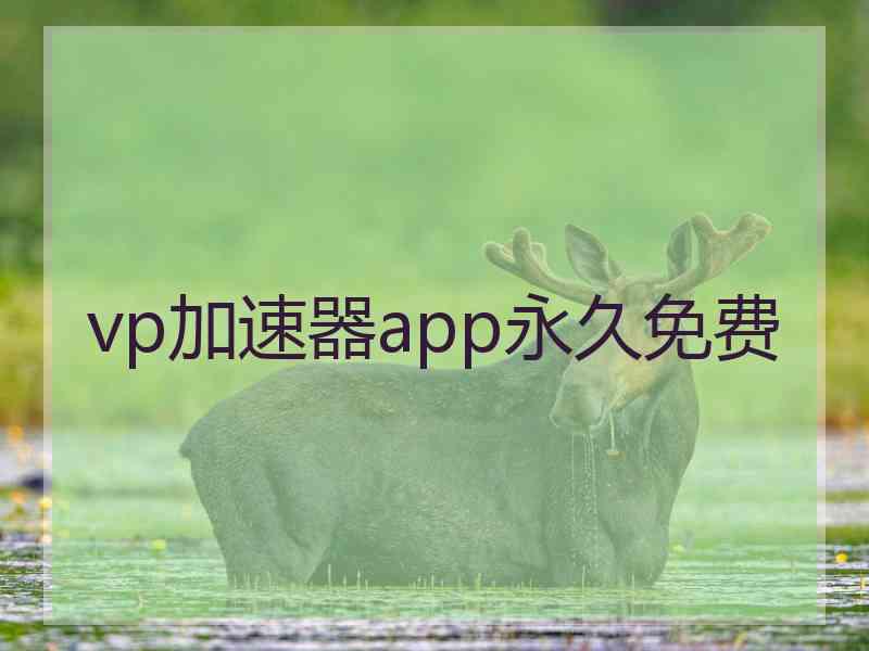 vp加速器app永久免费