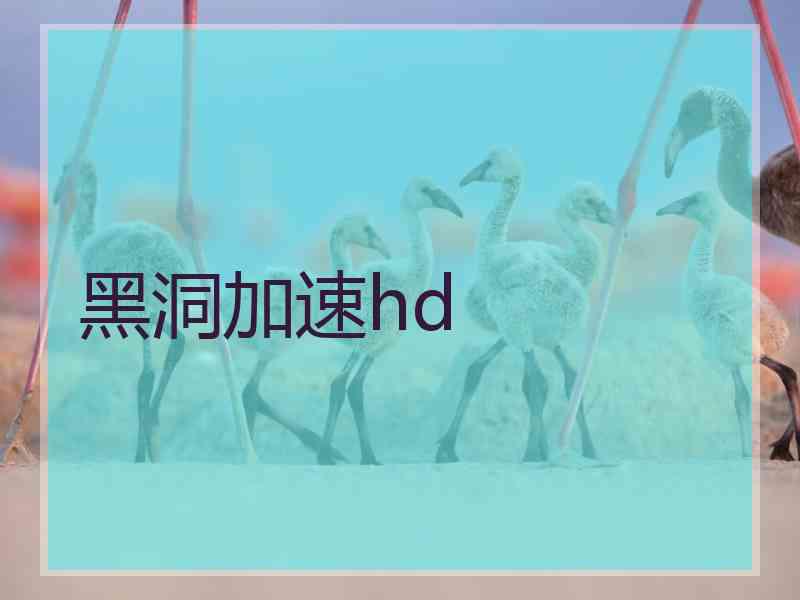 黑洞加速hd