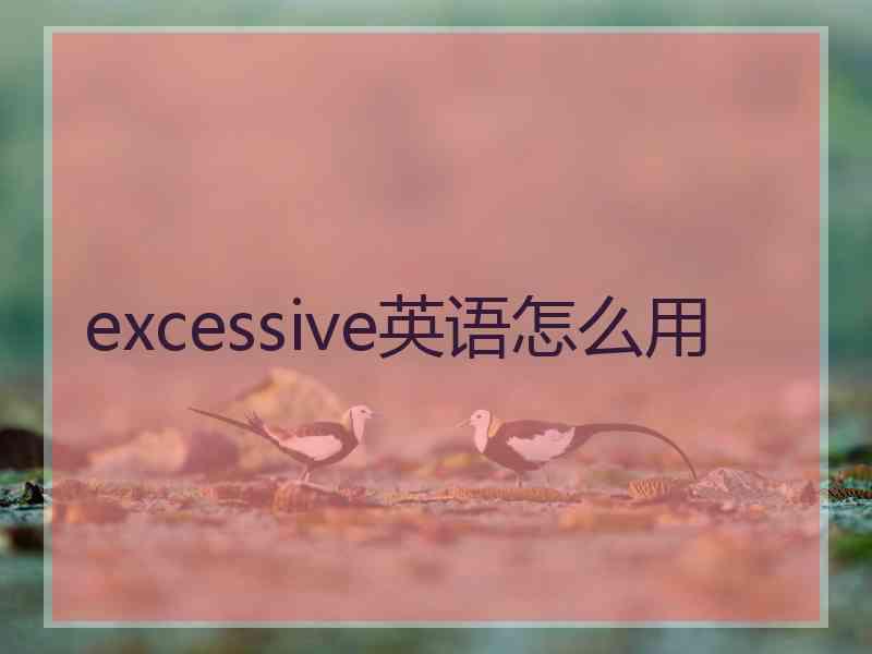 excessive英语怎么用