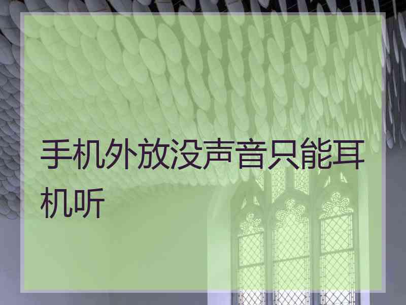 手机外放没声音只能耳机听