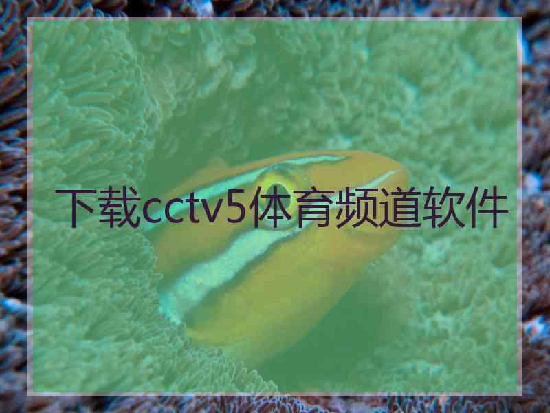 下载cctv5体育频道软件