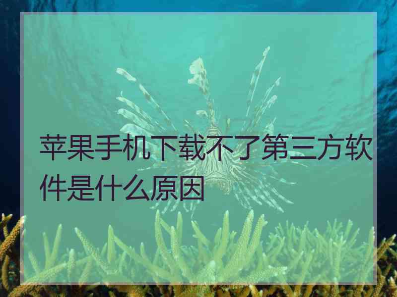 苹果手机下载不了第三方软件是什么原因