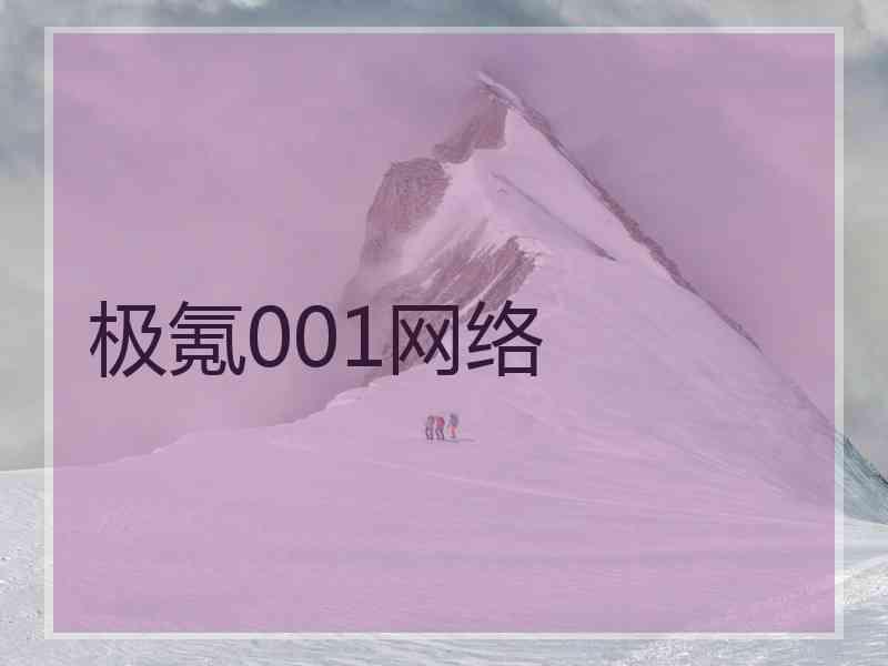 极氪001网络