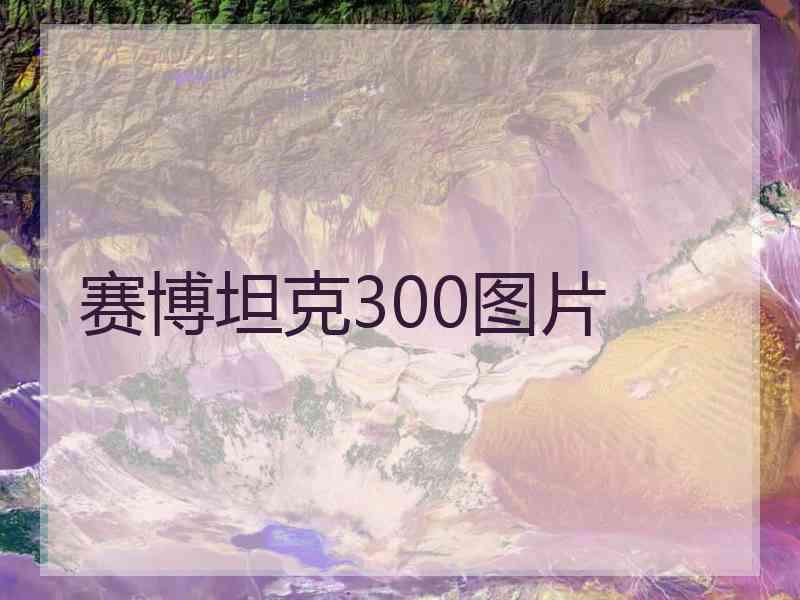 赛博坦克300图片