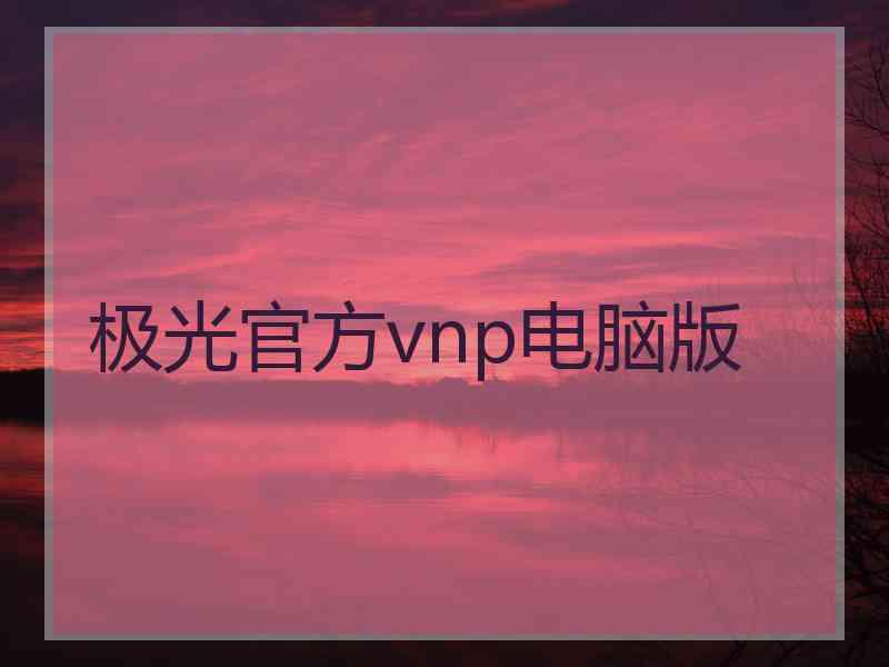 极光官方vnp电脑版