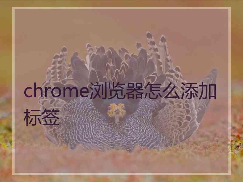 chrome浏览器怎么添加标签