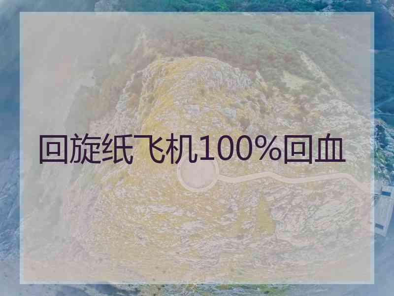 回旋纸飞机100%回血